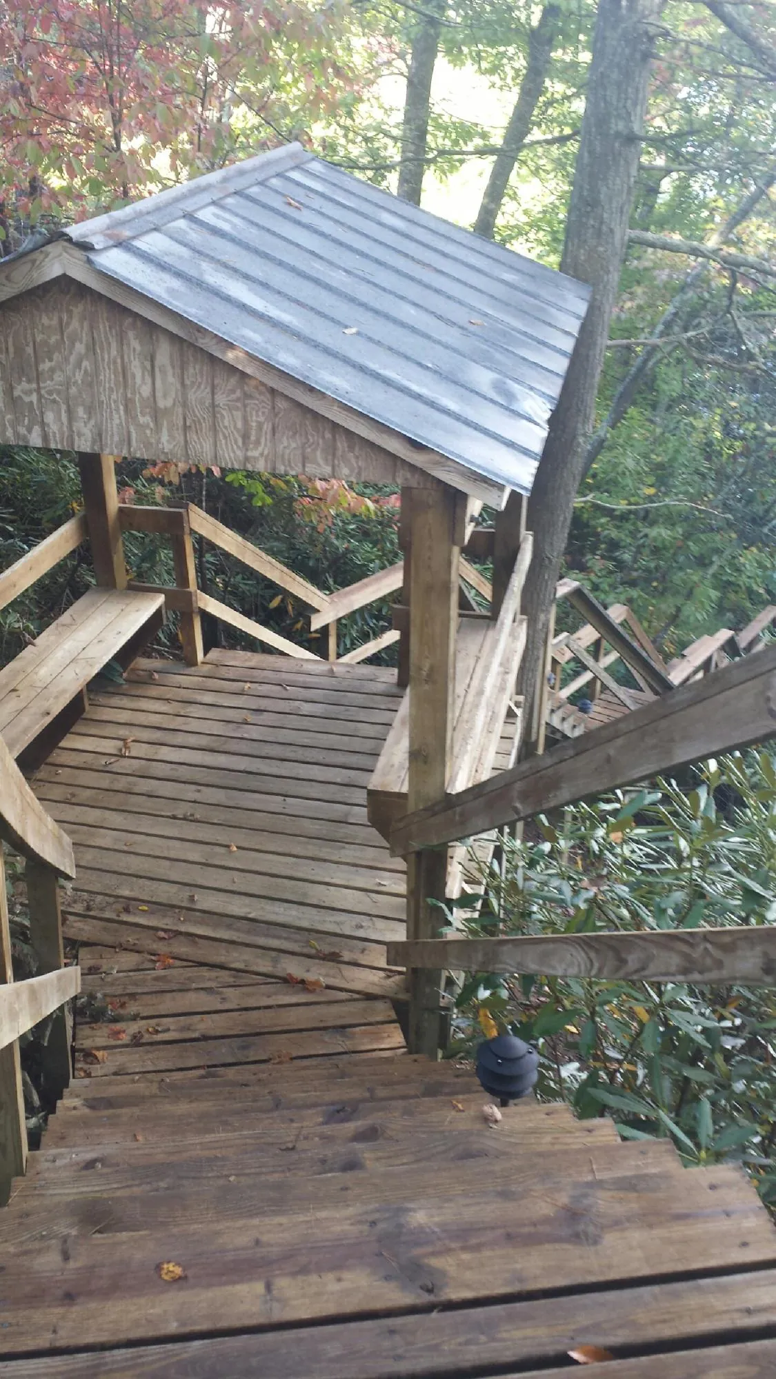 Metal roofed shelter over wooden steps on a wooded walkway — Skylight Repair & Installation work by our crew in North Fort Myers