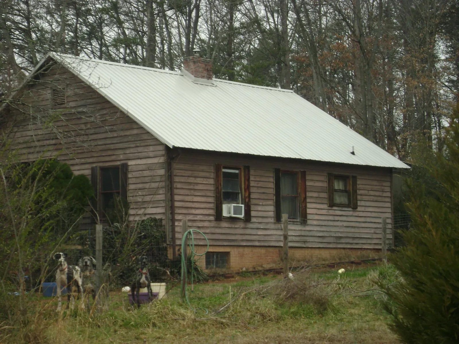 White metal roof on an old wood sided farmhouse, from a Asphalt Shingle Roof Repair job in North Fort Myers